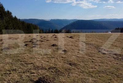 Teren de 10909 mp, în Râșca - 1