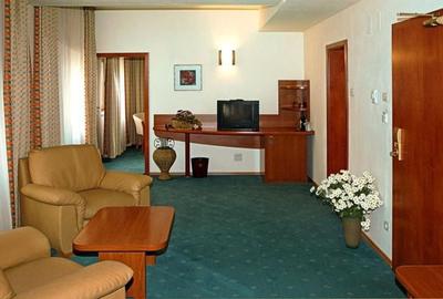 Zona Pta Victoriei, Hotel 4 stele, cu restaurant si crama - 3
