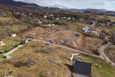 Teren de 5613 mp, în Șișești - 3