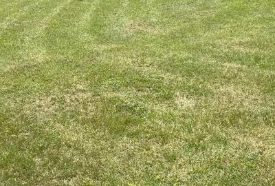 Teren de 760 mp, în Dumbrăvița