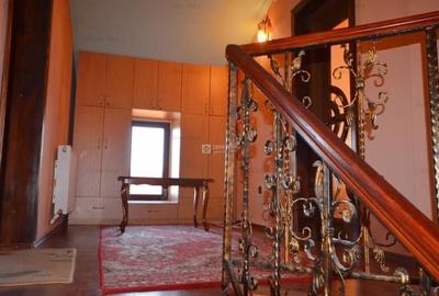 Proprietate de inchiriat: casa Parter + Etaj, Bucium - 16