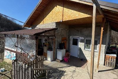 Casă cu Teren 2603 Mp în Barza - 4