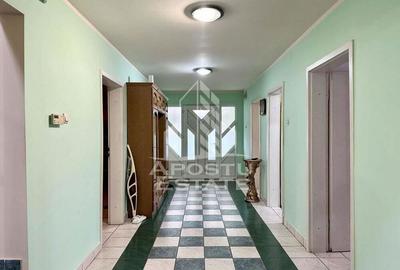 Casa impresionanta cu 4 camere, garaj si anaxe, in Timisoara - 4