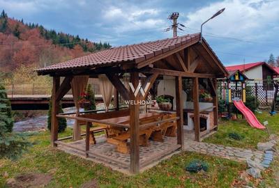 Cabana / Casa de vacanta pe Transfagarasan - Sibiu - 8