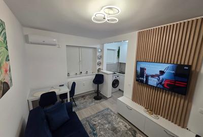 Decebal, Rond Alba Iulia, pe Moise Nicoara, renovata, mobilata si utilata lux - 7