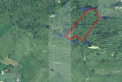 Investitie ! Teren extravilan,1.6 ha, Valea Fanatelor - 2
