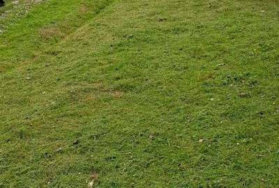 Proprietar vand casa cu teren in sat Buicesti, negociabil, judetul Mehedinti - 4