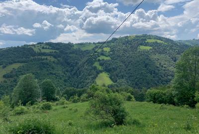 Spațiu comercial, în Valea Bistrii - 5