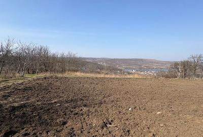 Teren de 2000 mp, în Aroneanu - 4