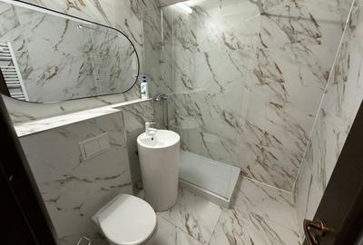 Apartament cu 3 camere decomandat în Calea Călărașilor - 13