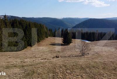 Spațiu comercial, în Râșca - 11