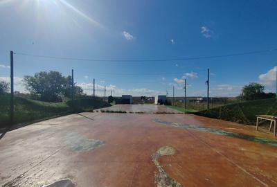 Teren de 5000 mp, în Gagu - 9