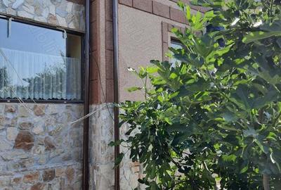 DE VANZARE: Vila P +1E Caracal, str. General Magheru77. - 11