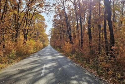 Casă cu 3 camere cu Teren 2000 Mp în Central - 16