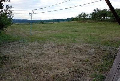 Casă cu 4 camere în Răbăgani - 4