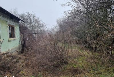 Casă cu 2 camere cu Teren 775 Mp în Dragodana - 4