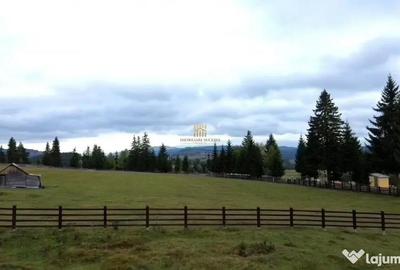 Teren de 16813 mp, în Fundu Moldovei - 8
