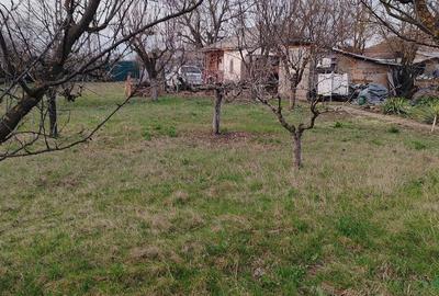 Casă cu Teren 900 Mp în Toporu - 5