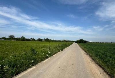 Teren agricol intravilan de 5000 mp, în Ulmi - 4