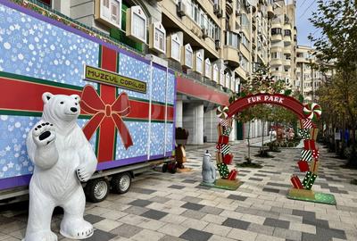 Spatiu Comercial renovat - Bulevardul Decebal - 13