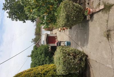 Casa de vanzare ,vila - 10