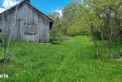 Casă cu 1 camere cu Teren 3750 Mp în Ciurila - 6