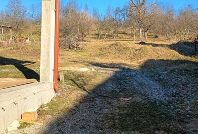 Casă cu 5 camere cu Teren 4200 Mp în Sâncraiu - 6