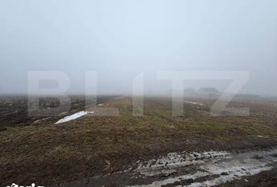 Teren de 2500 mp, în Pătrăuți - 4