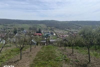 Casă cu 2 camere cu Teren 2500 Mp în Bogați - 7