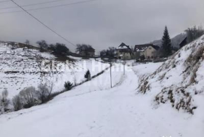 Teren de 725 mp, în Moieciu - 8