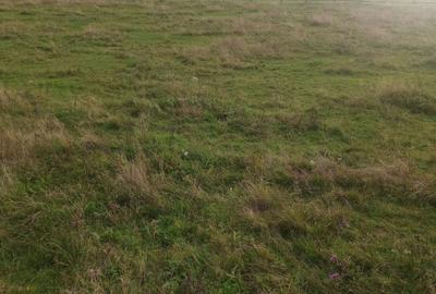 Spațiu comercial, în Măguri - 6