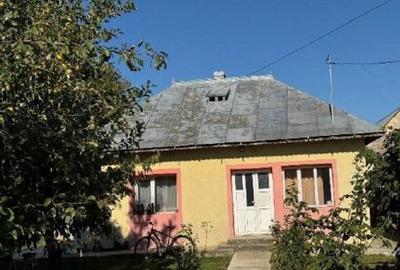 Casă cu 3 camere cu Teren 2000 Mp în Talpa - 2