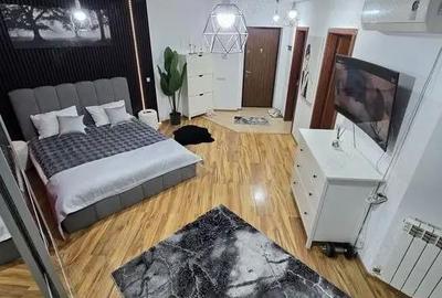 Garsonieră semidecomandată în Doamna Ghica - 8