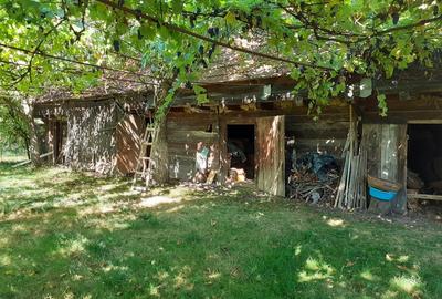 Casă cu 4 camere în Rușii-Munți - 10