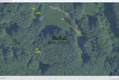 Teren de 5727 mp, în Buceș - 1