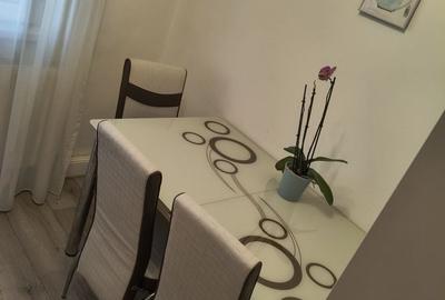 Apartament cu 2 camere decomandat în Cetate - 4