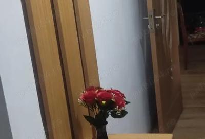 Inchiriez ap 3 cam Nufarul Inchiriez ap 3 cam Nufarul - 9