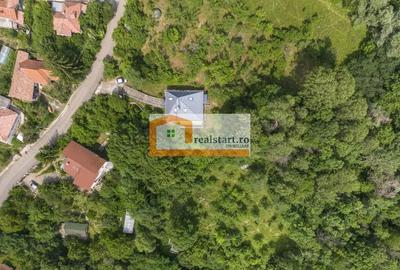 Cornu, Vedere la Padure, Vila D+P+M, 6600mp teren, 4 parcare - 13