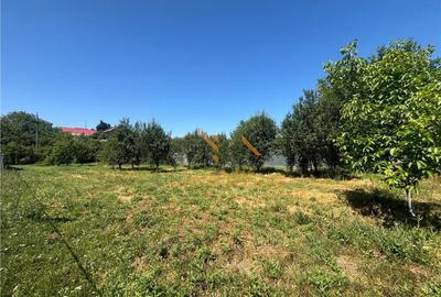 TEREN INVESTITIE BAILE FELIX /P 4/ FRONT 18 ML/750 MP - 3