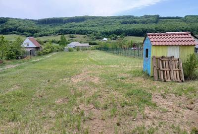 Spațiu comercial, în Betfia - 1