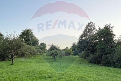 Teren de 4193 mp, în Ocna Șugatag - 2