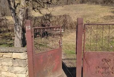 Casă cu Teren 2267 Mp în Vultureni - 3