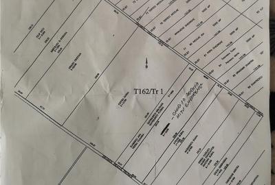 Teren de 12094 mp, în Berceni