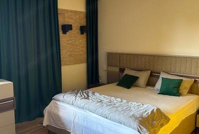 De inchiriat vila reamenajata in 2023, parter+etaj, Remetea Mare - 11