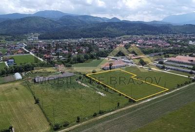 Oportunitate Investitie Cristian | Intravilan | Necesar PUZ | 9.650mp - 3