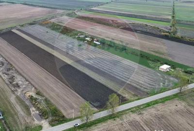 Teren de 10869 mp, în Mirceștii Vechi - 1