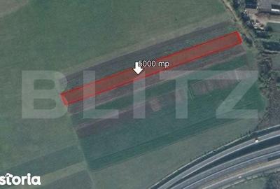 Teren de 5000 mp, în Stupini