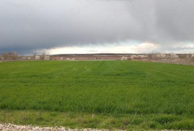 Teren de 3600 mp, în Crevedia - 1