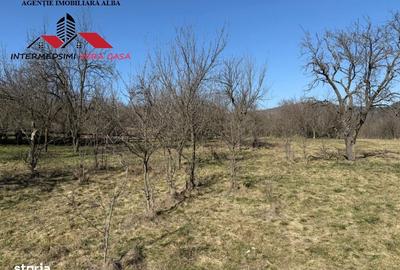 Casă cu 4 camere cu Teren 7701 Mp în Vințu de Jos - 1