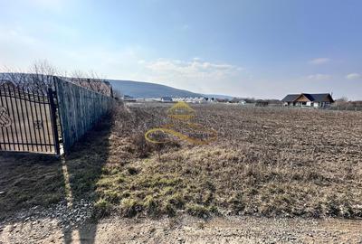 Teren Construcții intravilan de 3600 mp, în Hemeiuș - 4